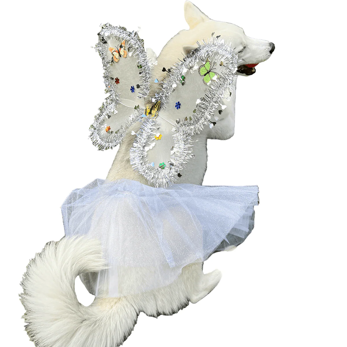 Disfraz Para Mascotas De Ángel Blanco Alas Tutú Halloween Fiesta Disfraces OF-1500PET - Imagen 8