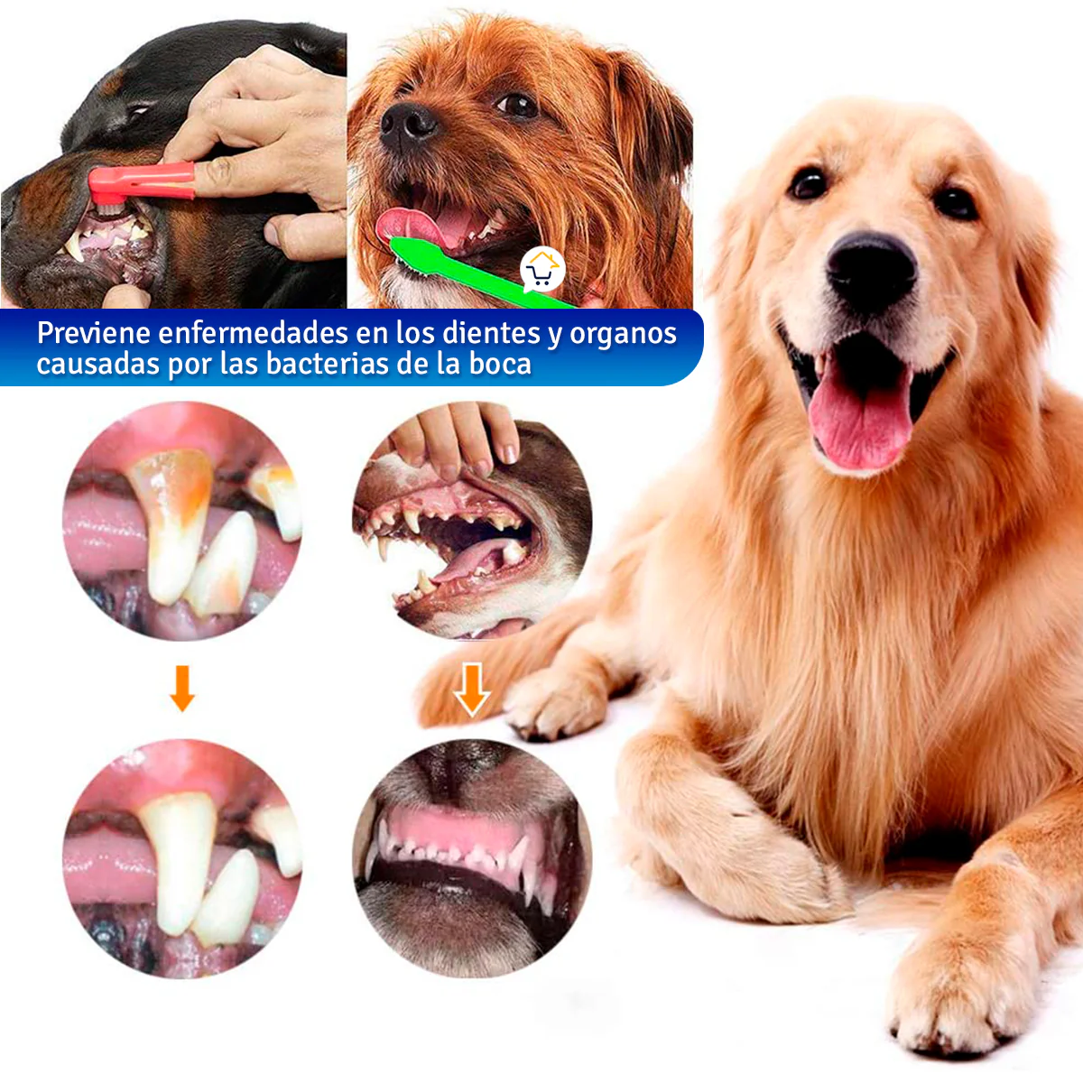 Kit Crema Dental Cepillo De Dientes Mascotas Ag1905053 - Imagen 2