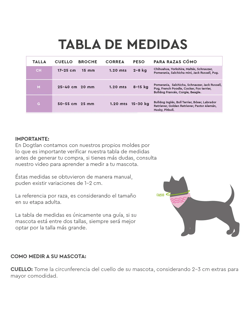 LATTE | Set Collar, Correa & Bandana - Imagen 6