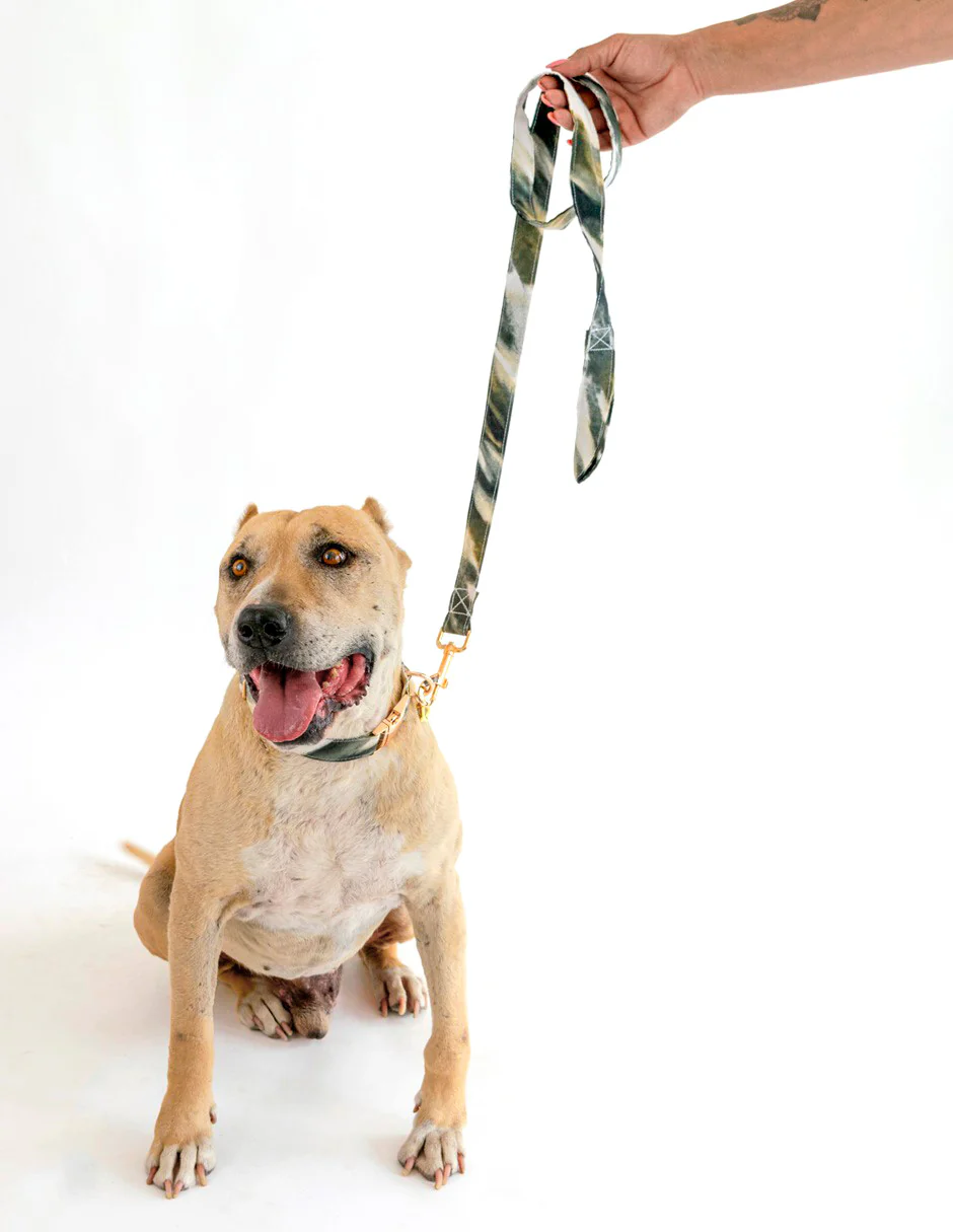 LATTE | Set Collar, Correa & Bandana - Imagen 5